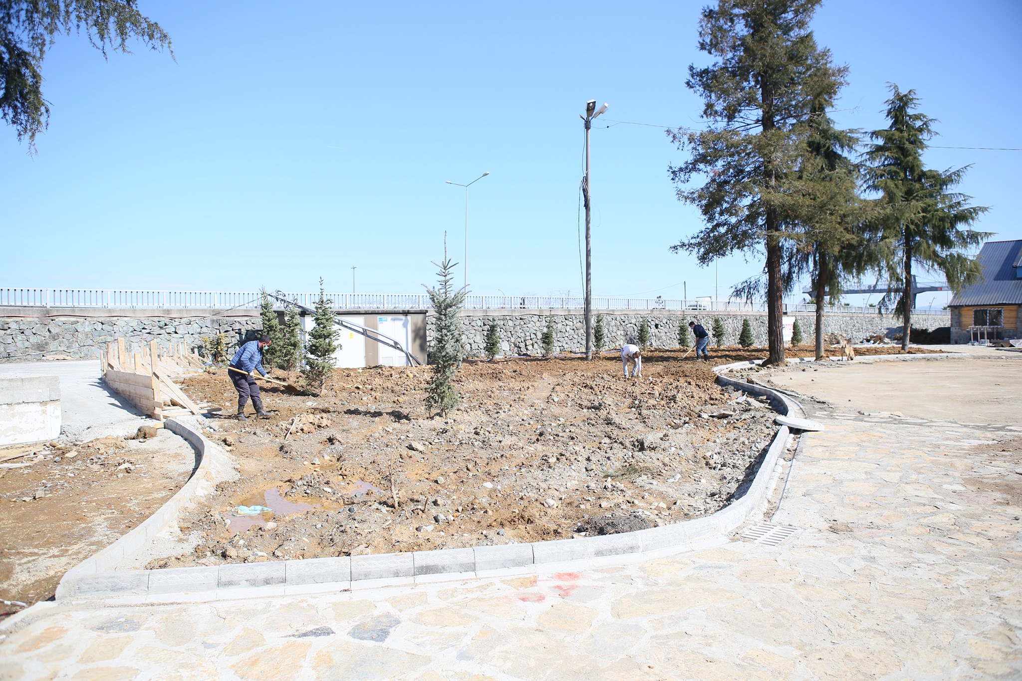 Her Şey Ortak Sevdamız Ardeşen İçin.