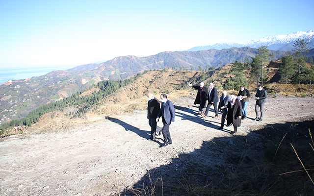 Işıklı Afyon Babaya Mesire Alanı Projesi 