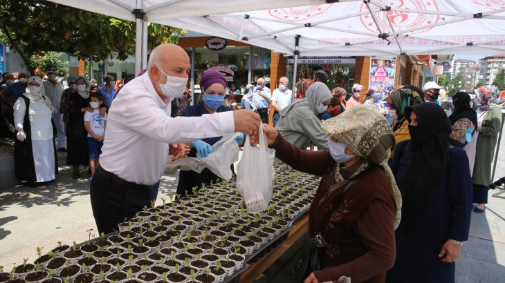 Üreticimize 4 Bin Adet Sebze Fidesi
