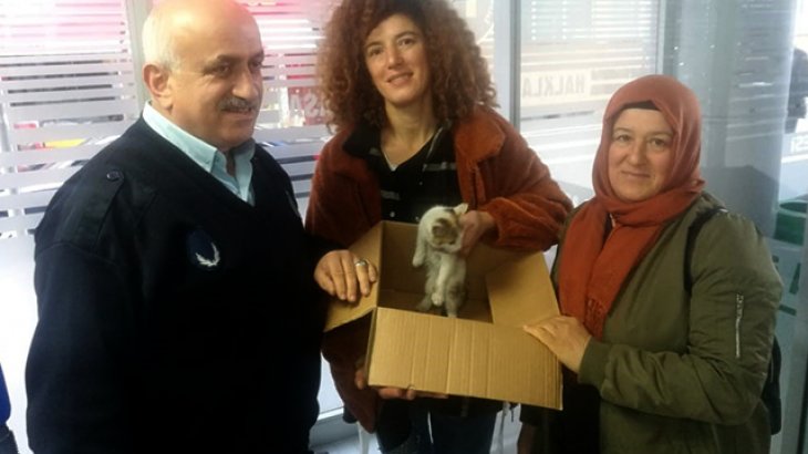 Ardeşen Belediye Çalışanları Yaralı Kedi Yavrusu İçin Seferber Oldu