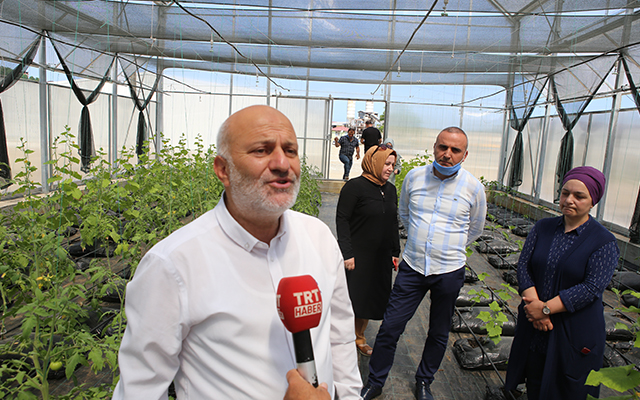 Ardeşen Belediyesi Sebze Serasını Verimli Kullanıyor