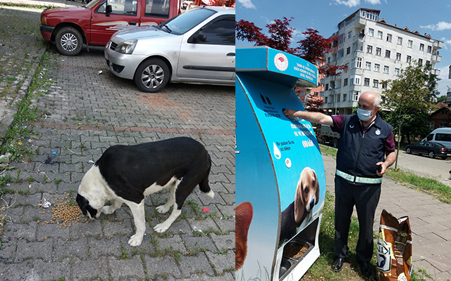 Ardeşen Belediye Ekipleri Sokak Hayvanlarına Yem Bırakıyor